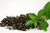 Green Tea Oil-Based Aroma Oil
