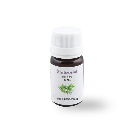 Thuja Wood Essential Oil