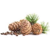 Cedarwood Essential Oil